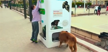 Автомат для бродячих собак